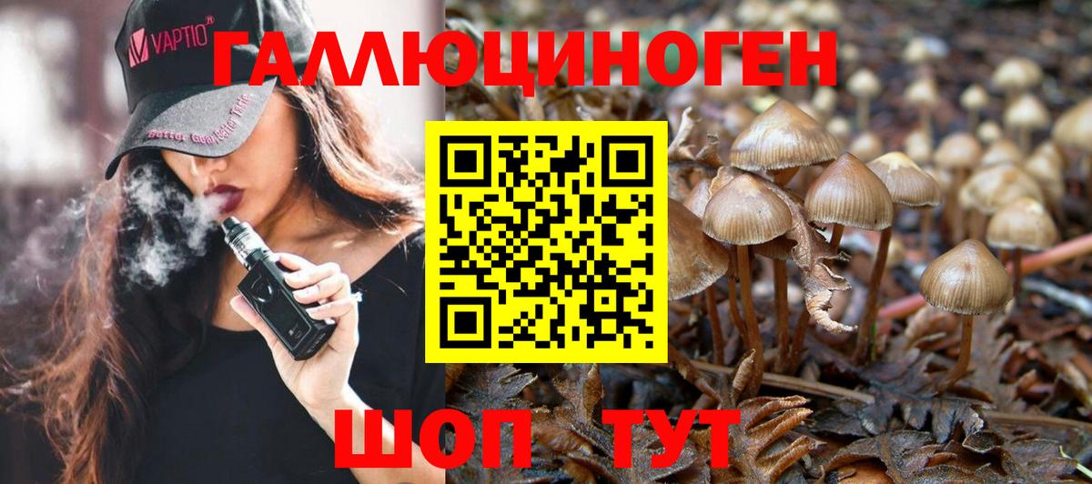 Когалым  Галлюциногенные грибы прущие грибы  Вход с VPN 